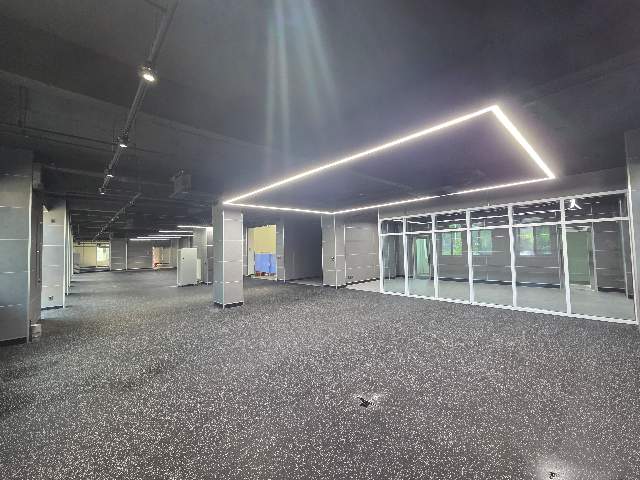 20250800056013
