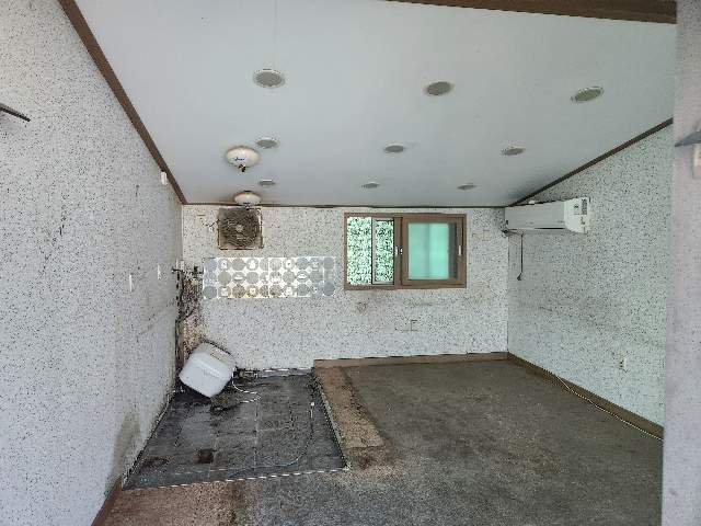 20250800056131