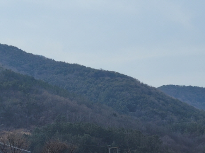 2022타경1213
