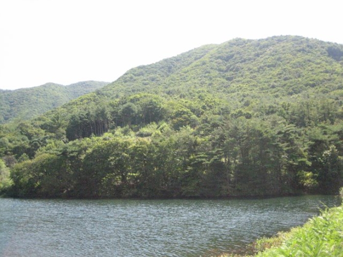 2022타경1253[1]
