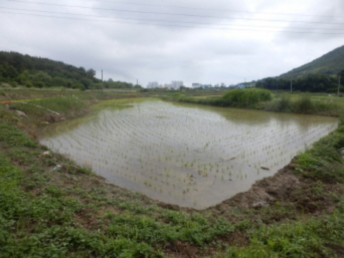 2022타경2475