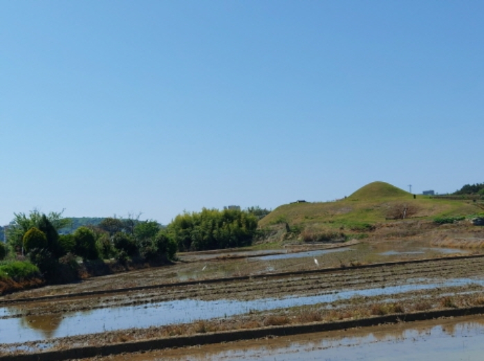 2022타경1635[1]