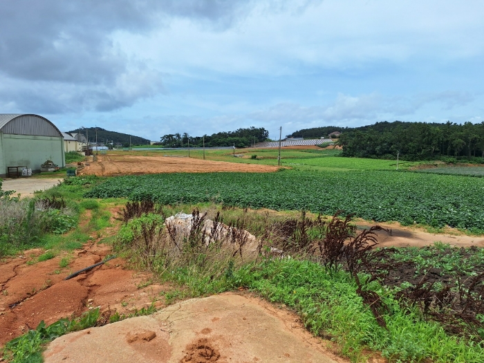 경매마당 경매정보 2024타경2921[2]의 시세, 권리분석, 상세정보